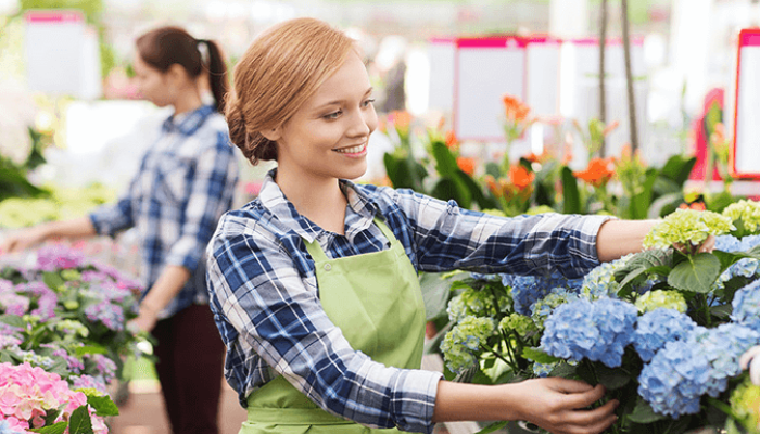 the benefits of plant nurseries webfreen.com