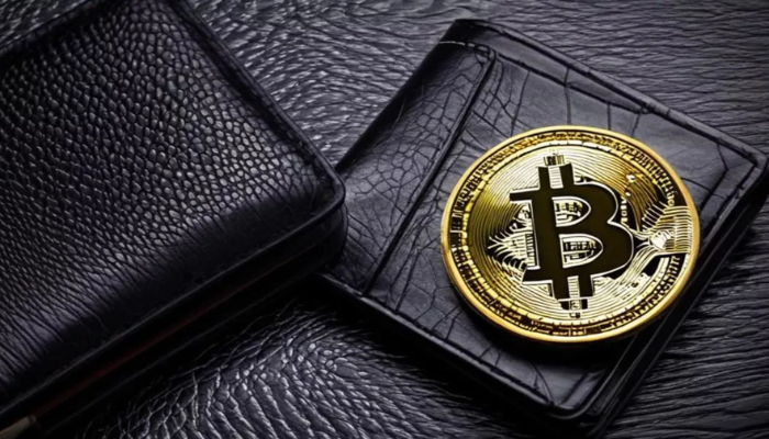 ecryptobit.com wallets